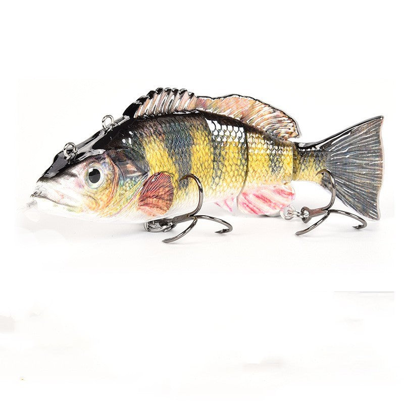 Esca Robotica Next Gen