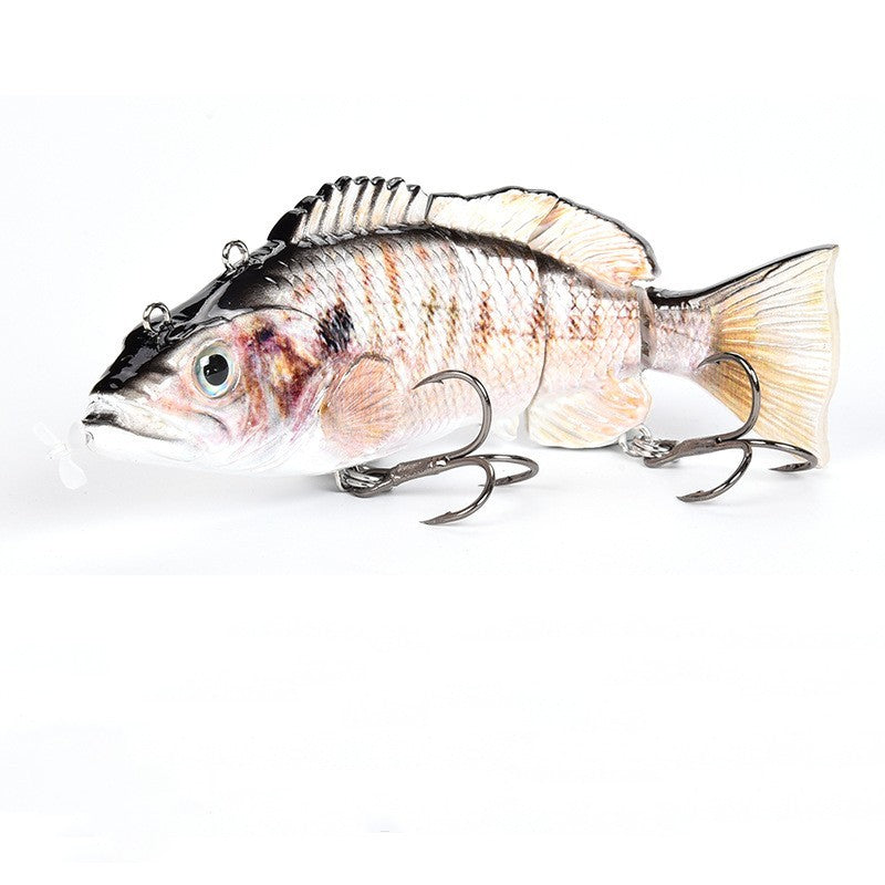 Esca Robotica Next Gen