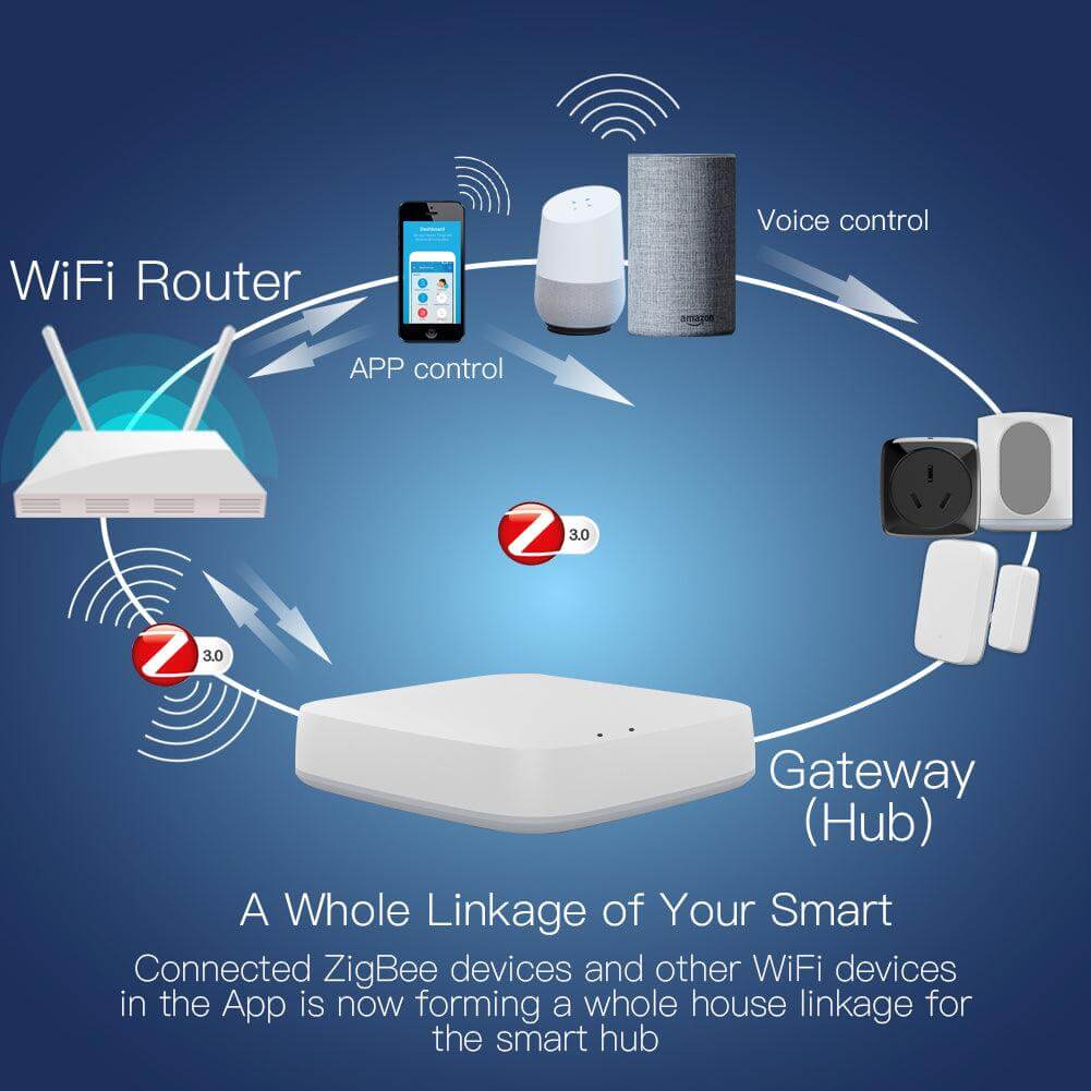 DAMASO - Gateway ZigBee compatibile con Alexa e Google Home 1