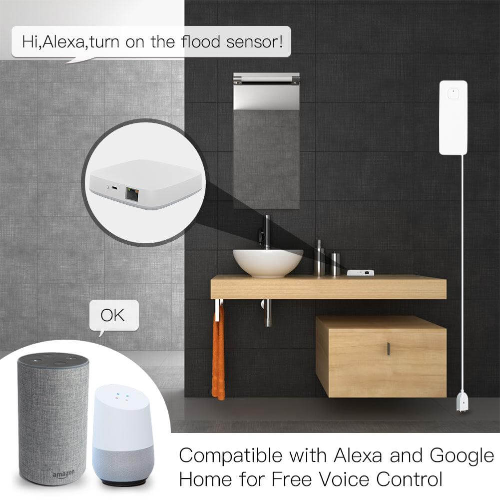 DAMASO - Gateway ZigBee compatibile con Alexa e Google Home 2
