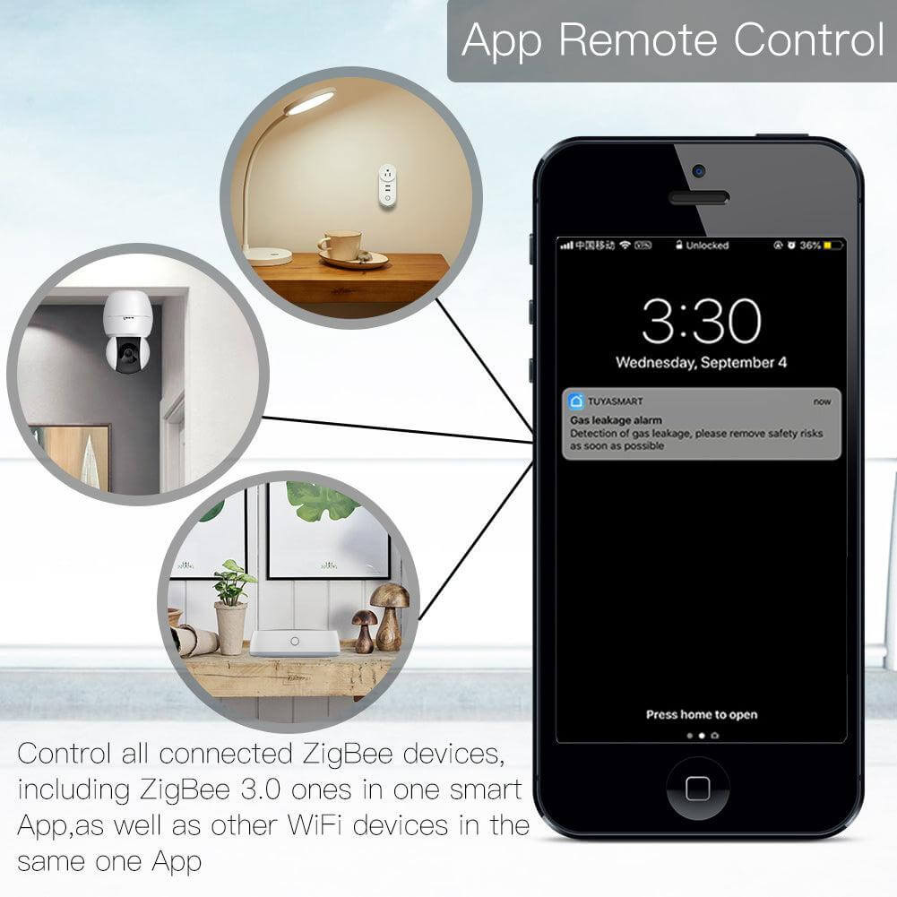 DAMASO - Gateway ZigBee compatibile con Alexa e Google Home 4